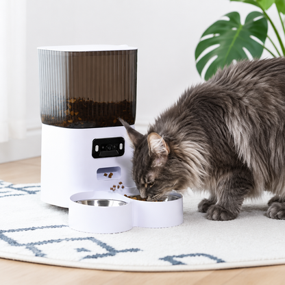 Comedero Automático Inteligente de 5L para Gatos y Perros con Cámara HD