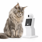 Robot Inteligente con Láser Automático para Gatos Recargable