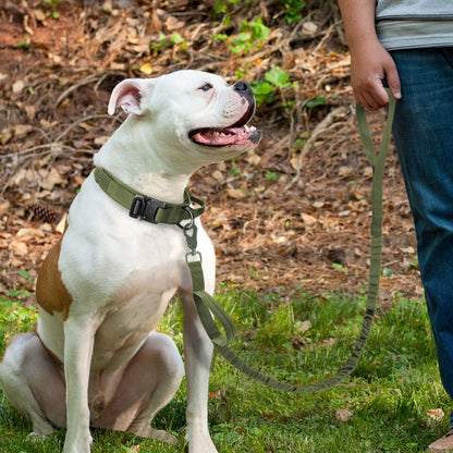 Military Tactical Dog Collar & Leash